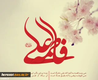 ببینید اینها چگونه ازدواج کردند؟