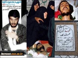 زندگی نامه و نحوه شهادت محمود کاوه فرمانده تیپ ویژه شهدا