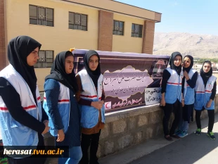 بر گزاری زیارت عاشورا در دهه اول محرم  9