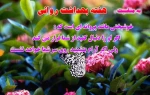 هفته بهداشت روان (24-30 مهرماه)