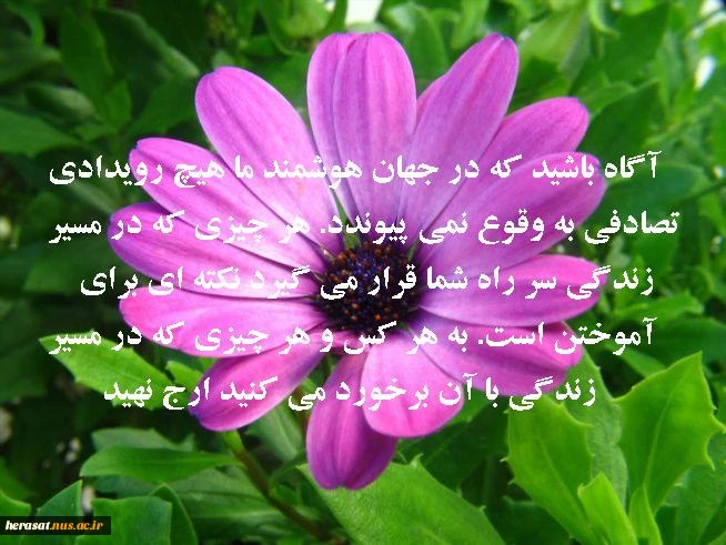 بهداشت روان