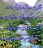 بهداشت روان