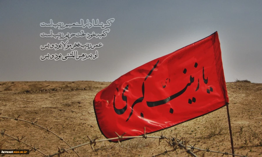 زینب