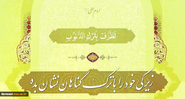 زیرکی مومن 2