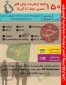 نحوه استفاده از اینترنت در راهپیمایی اربعین