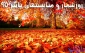 روزشمار پاییز 95