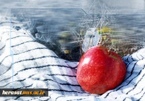 روز بسیج مستضعفین