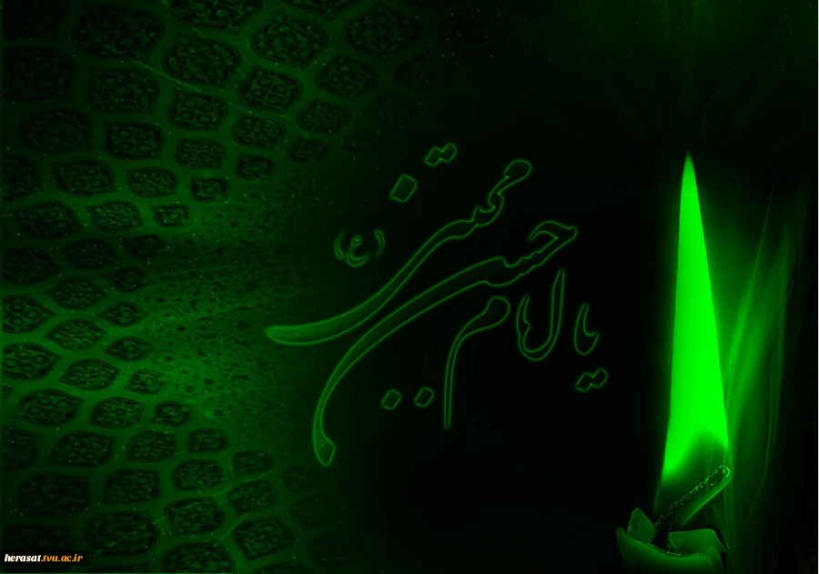 سلام، غریب تر از هر غریب! ..... سلام، مزار بی چراغ، تربت بی زایر، بهشت گمشده! ...
... سلام، آتشفشان صبر، چشمان معصوم، بازوان مظلوم، زبان ستمدیده!   
... سلام، سینه شعله ور، جگر سوخته، پیکر تیرباران شده! ....  سلام، امام غریب من!