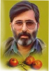 پیامی از شهید آوینی  2
