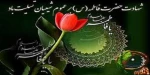 شهادت حضرت فاطمه زهرا (س) تسلیت باد. 2
