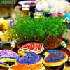 تبریک عید نوروز