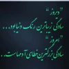شب قدر 2