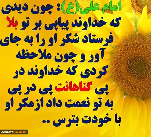 امام علی علیه السلام 2