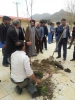 روز درختکاری 2