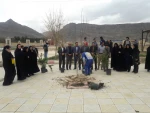 روز درختکاری 5