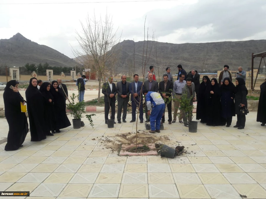 روز درختکاری 5