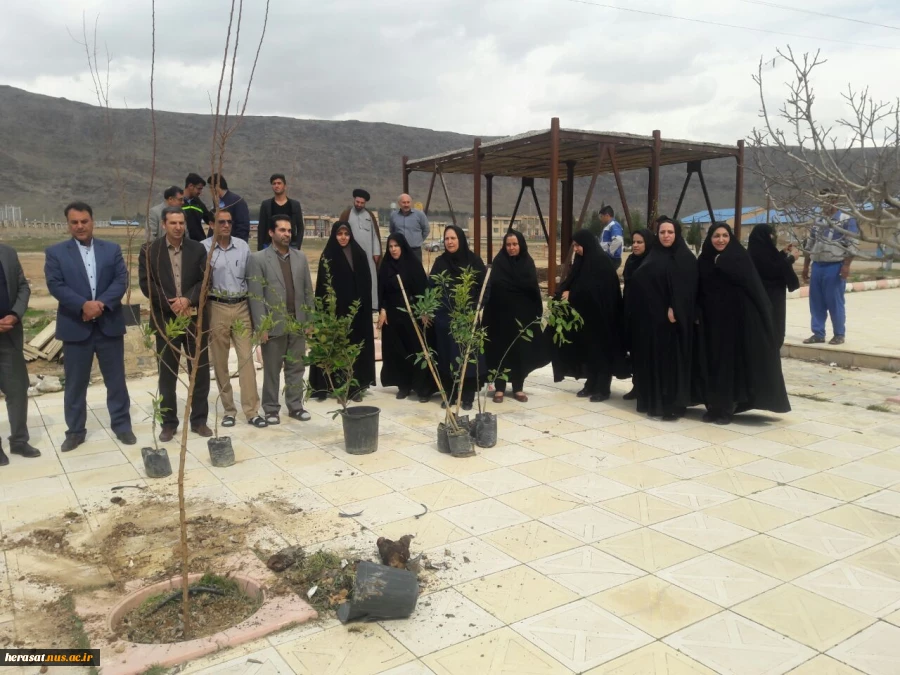 روز درختکاری 6