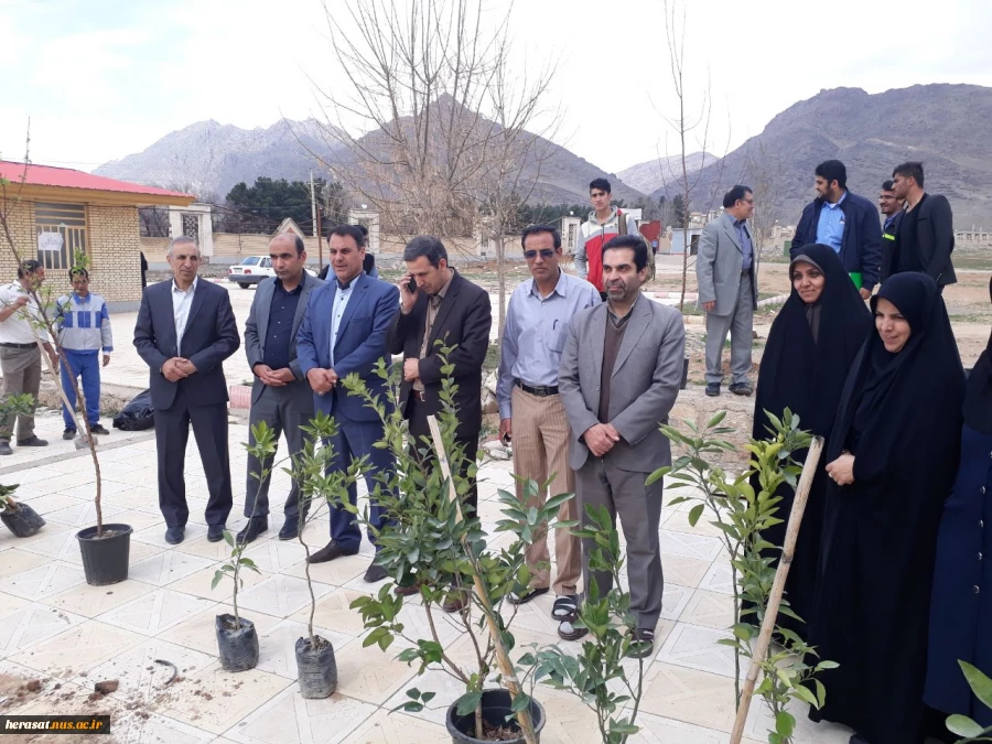 روز درختکاری 9