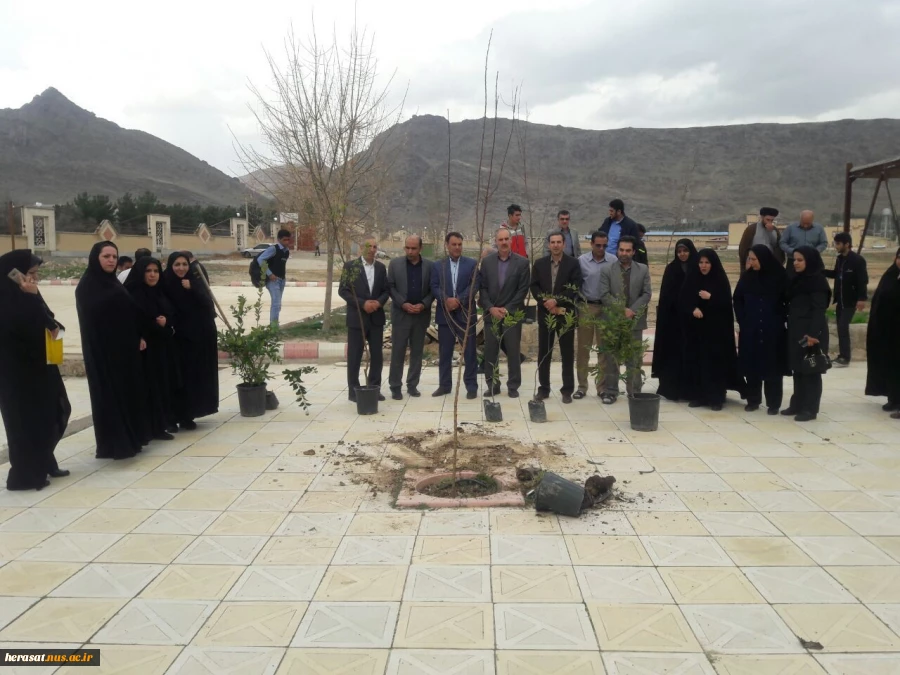 روز درختکاری 10
