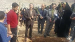 روز درختکاری 11