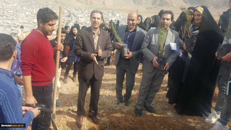روز درختکاری 11