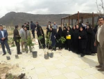 روز درختکاری 12