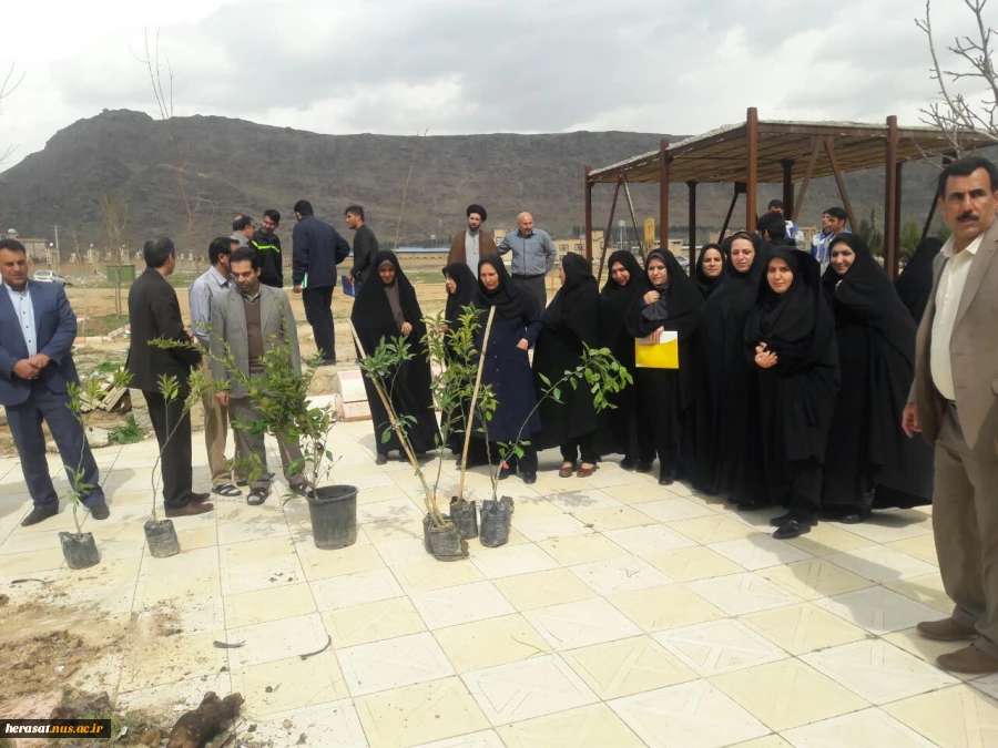 روز درختکاری 12