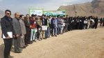 روز درختکاری 13