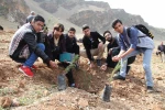 روز درختکاری 8