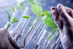 تهدیدات زیستی - ضرورت پدافند زیستی