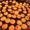نان برنجی سوغات کرمانشاه
