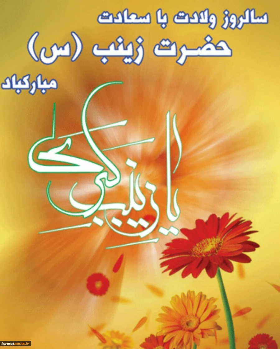 میلاد پربرکت حضرت زینب کبری(س) وروز پرستار گرامی باد 2