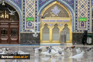 دهه کرامت میلاد کریمه اهل بیت حضرت معصومه سلام الله علیه ومیلاد کریم اهل بیت ثامن الاحجج، امام مهربانی حضرت رضا علیه السلام بر همگان مبارک 4