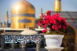 میلاد سراسر نور و با سعادت هشتمین اختر تابناک آسمان امامت، حضرت علی بن موسی الرضا(ع) برای دوست داران ولایت، مبین محبت ، ایثار و سخاوت به فرزندان نبوت و عصاره عشق به راه راستین اسلام ناب محمدی است 2