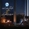 امام علی علیه السلام: هر کس با دانش خلوت کند، از هیچ خلوتی احساس تنهایی نمی کند. 2