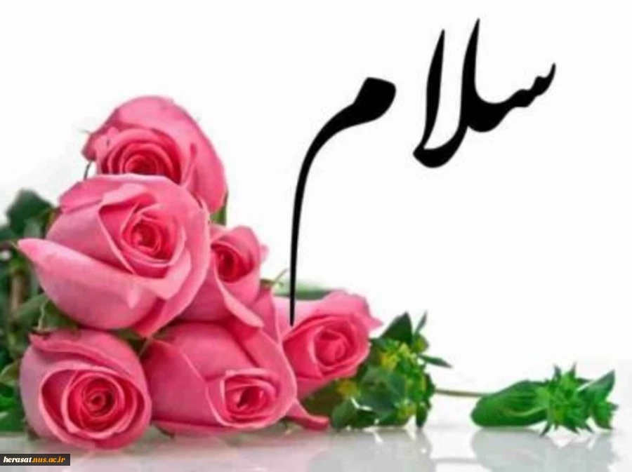 امـام جعفر صـادق علیه السلام: کسی که قبل از سلام سخن گوید، بـه او اعتـنا نکنـید. 2