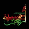 امام صادق (علیه السلام) فرمود: کربلا را زیارت کنید و این کار را ادامه دهید، چرا که کربلا بهترین فرزندان پیامبران را در آغوش خویش گرفته است.

 2
