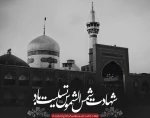 شهادت امام هشتم، ضامن آهو آقا امام رضا (ع) بر شیعیان واقعی آن امام همام تسلیت باد. 2