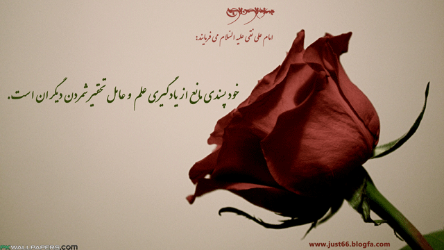سخنان امام علی (ع) 2